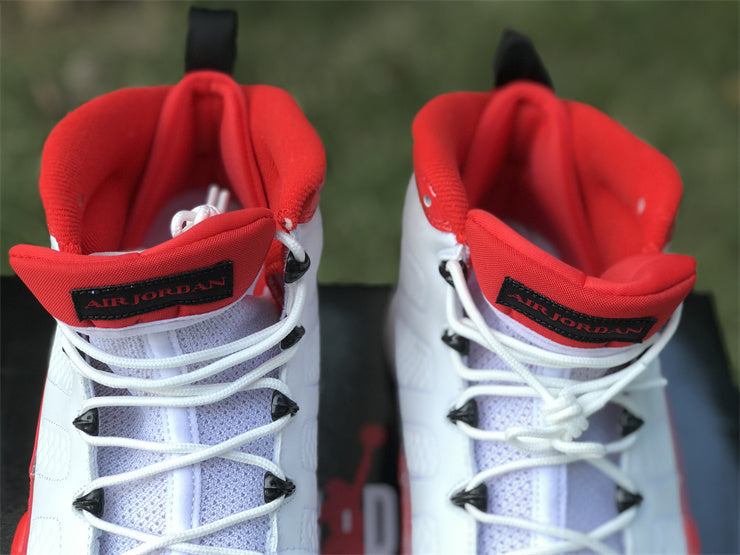 Air Jordan 9