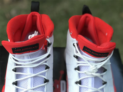 Air Jordan 9