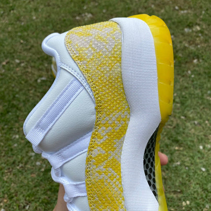 Air Jordan 11