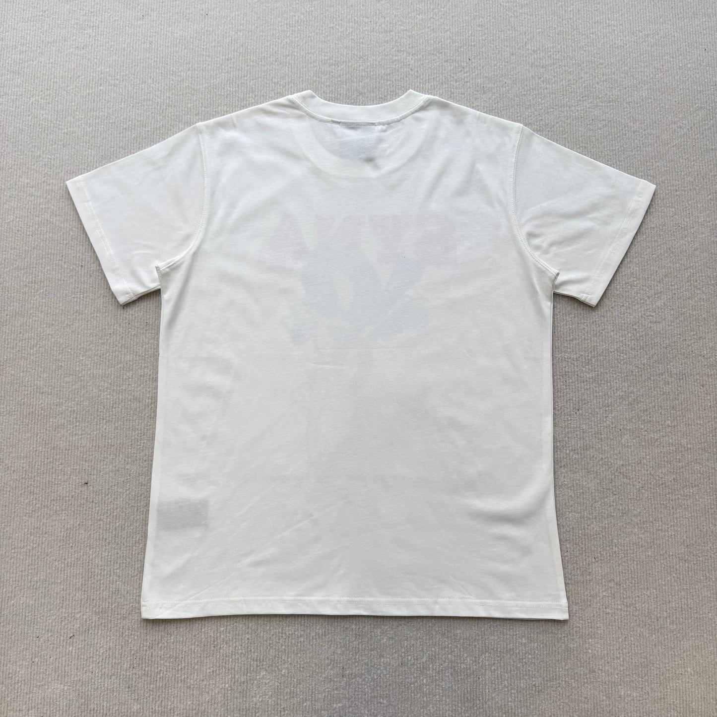 Camiseta Syna World