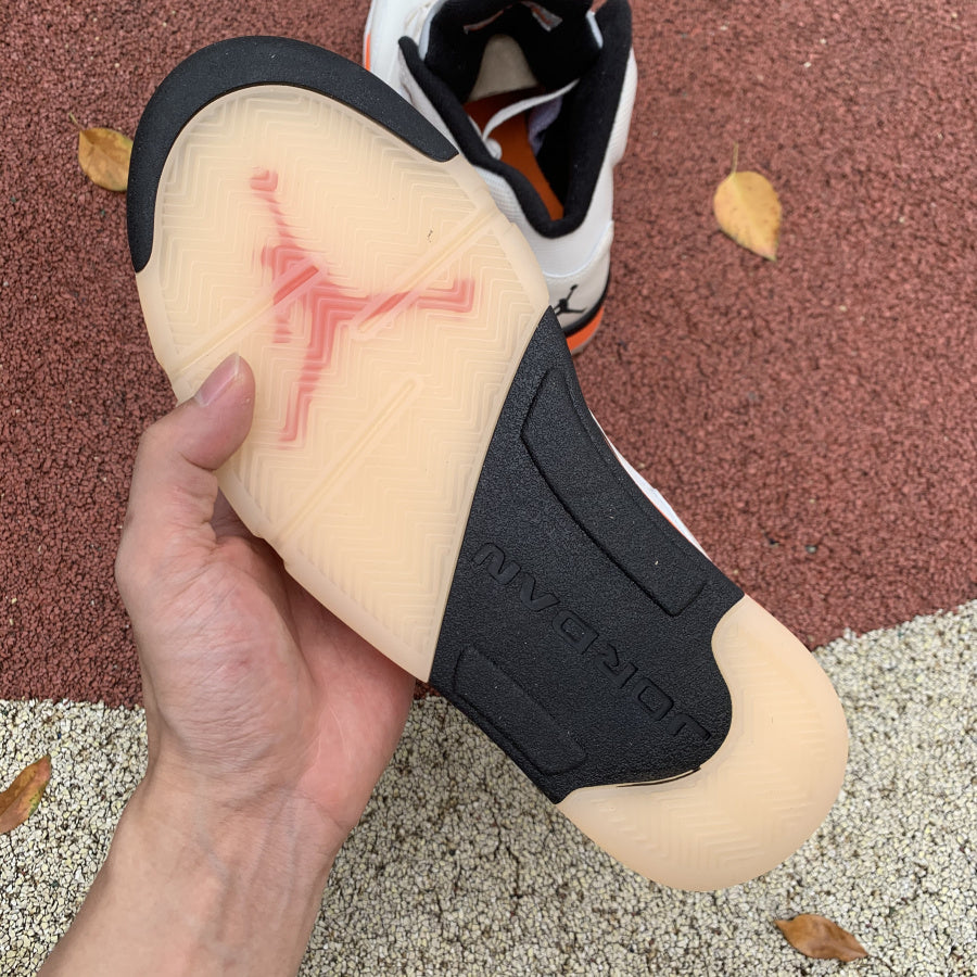 Air Jordan 5