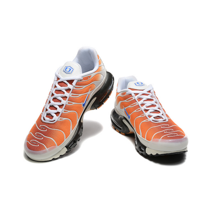 Nike Air Max Tn 1 Plus