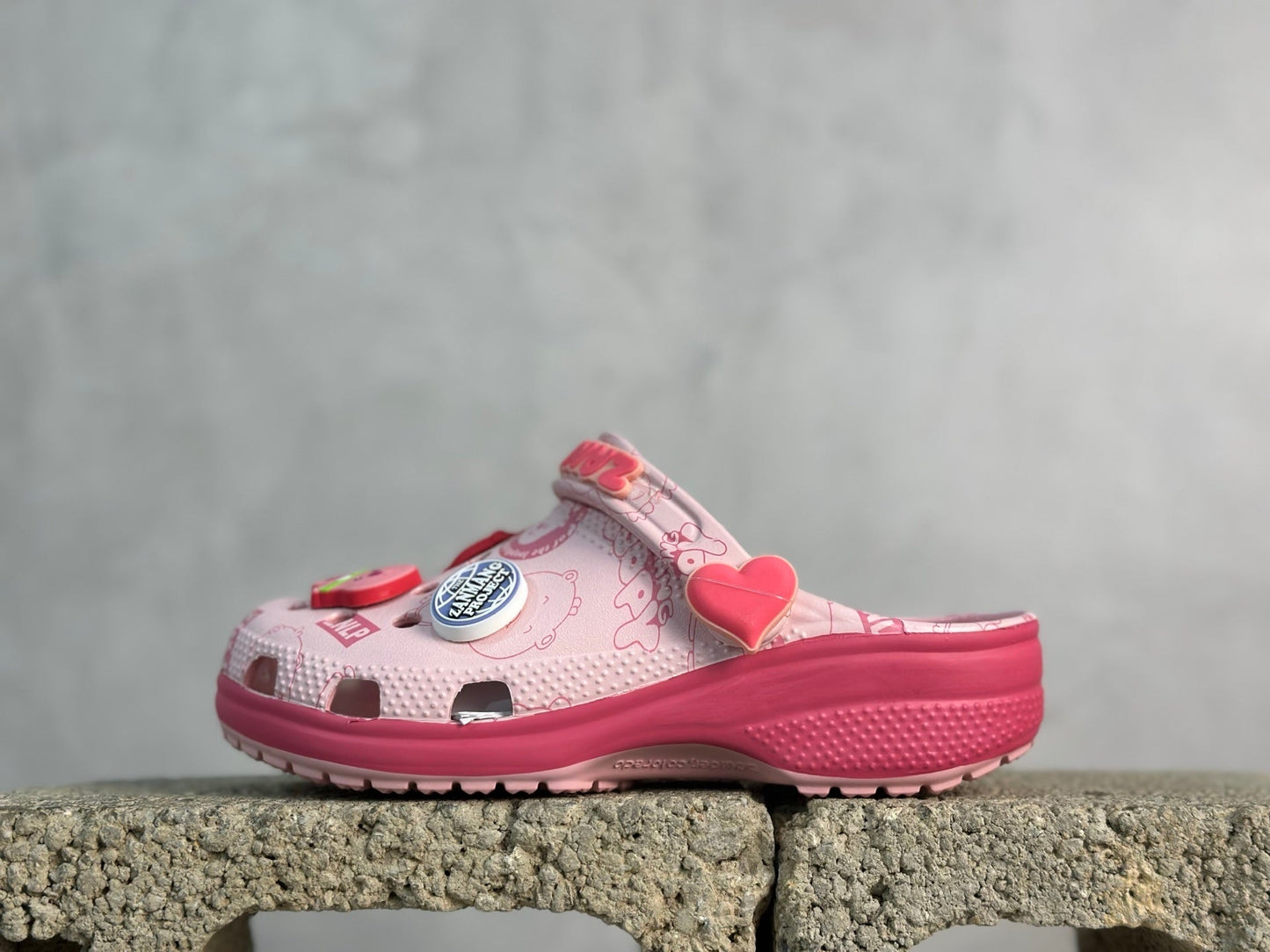 Crocs X Zanmang Loopy Zueco Clásico