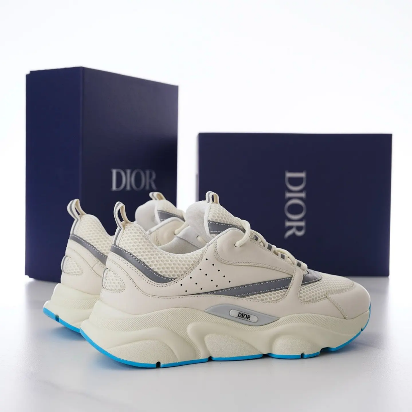 Dior B22