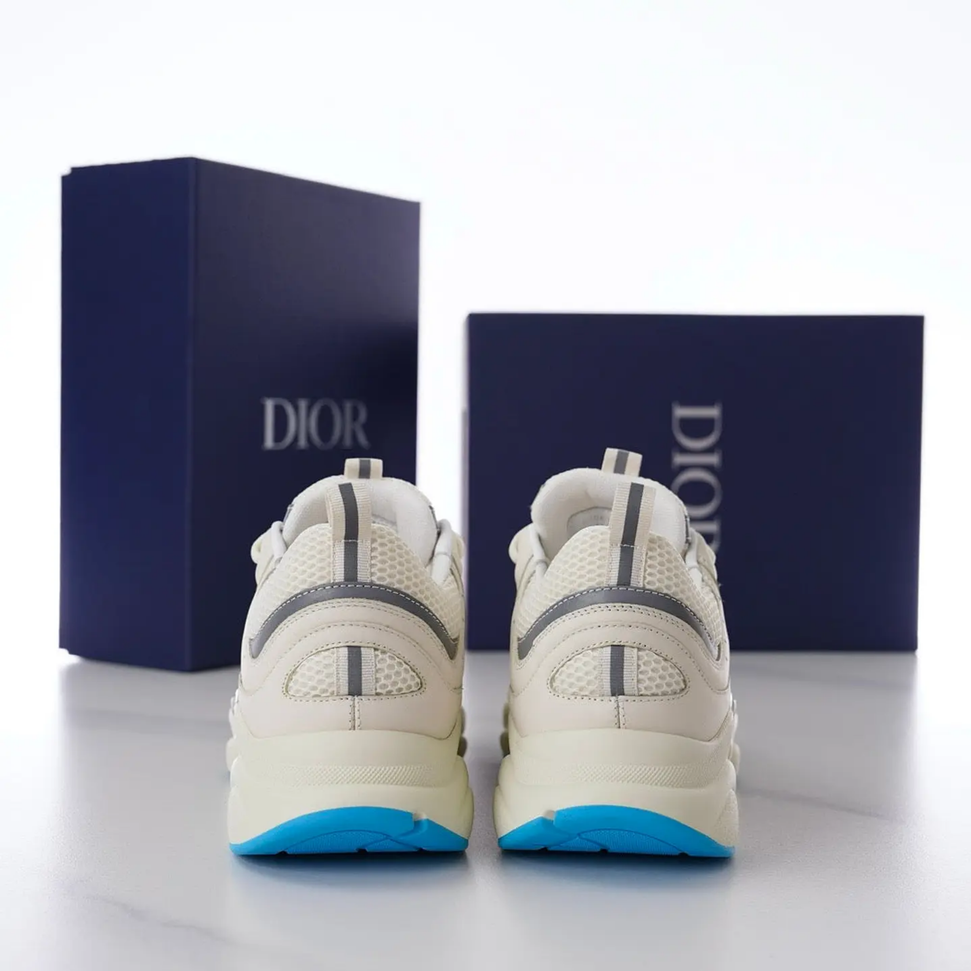 Dior B22