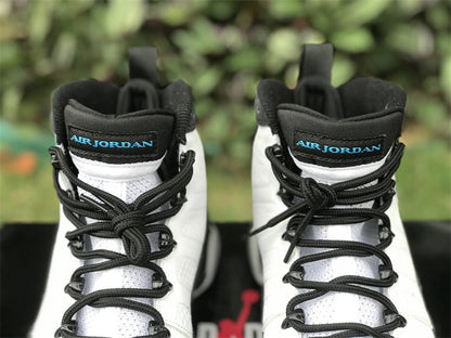 Air Jordan 9