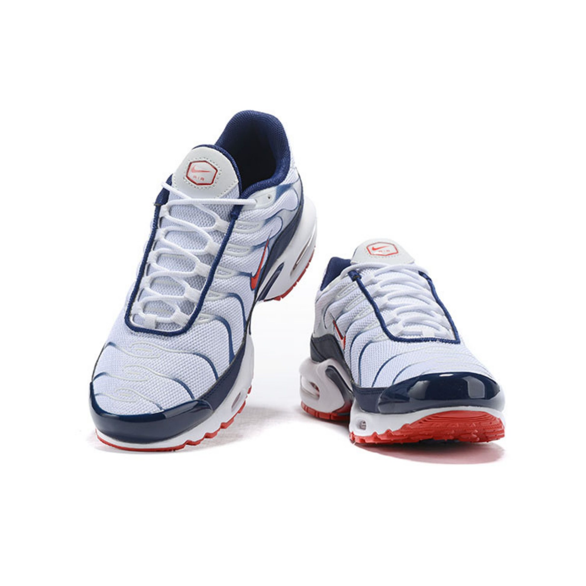 Nike Air Max Tn 1 Plus