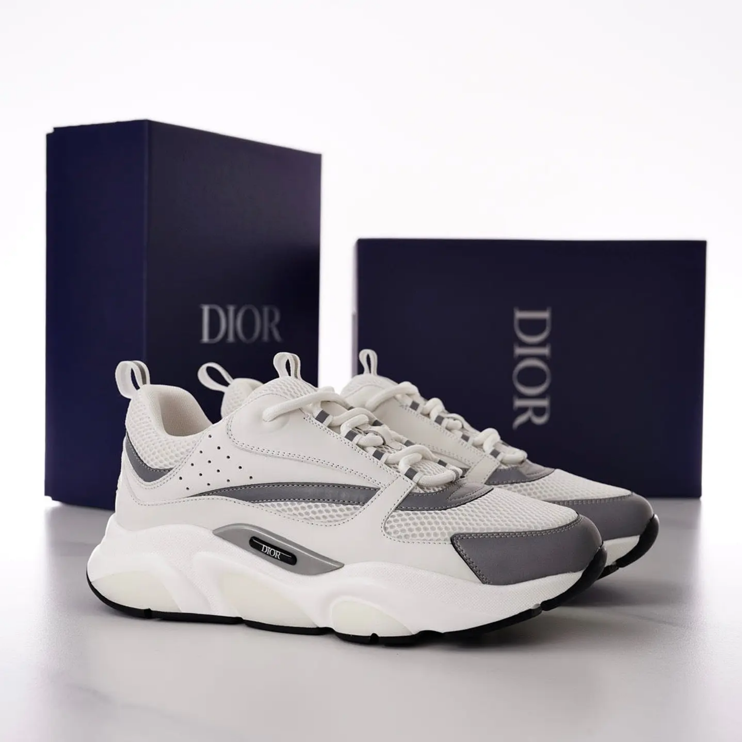 Dior B22