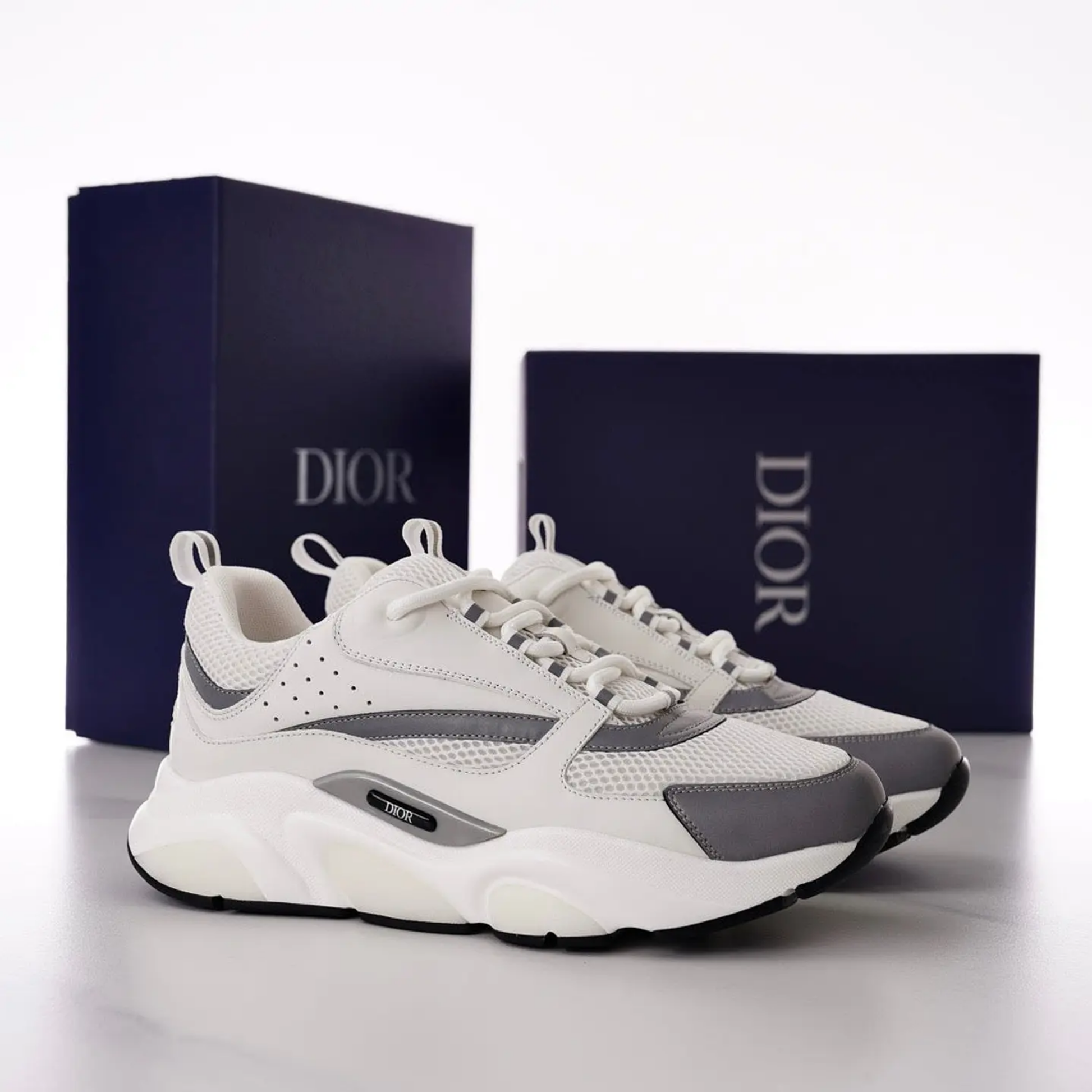 Dior B22