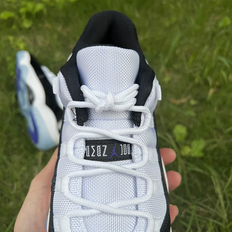 Air Jordan 11