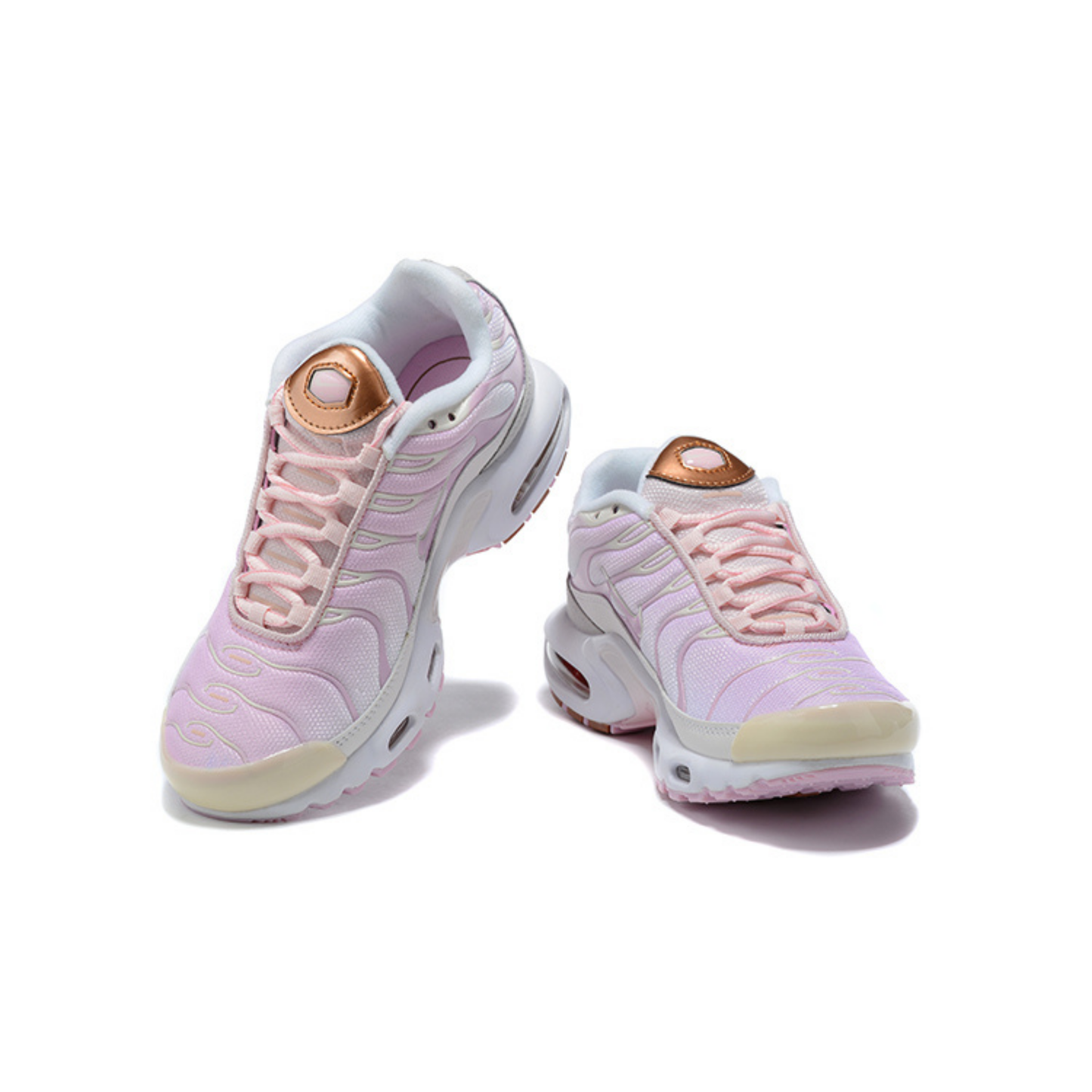 Nike Air Max Tn 1 Plus