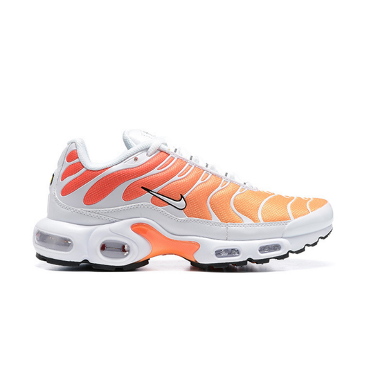 Nike Air Max Tn 1 Plus