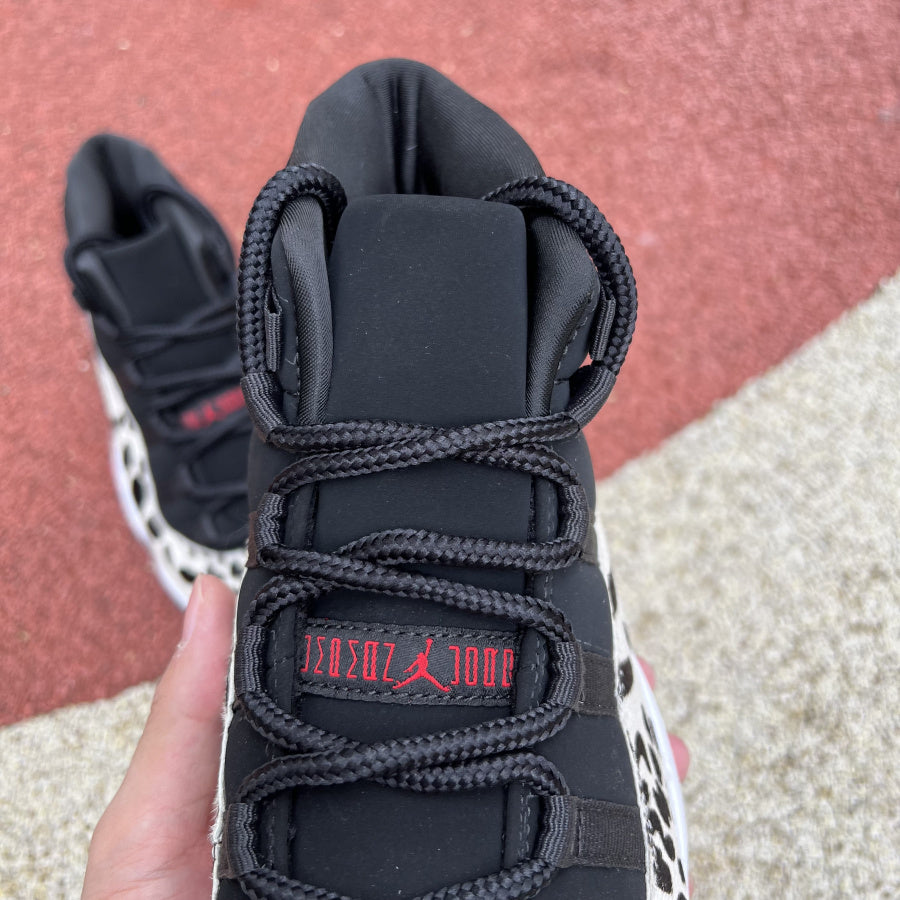 Air Jordan 11