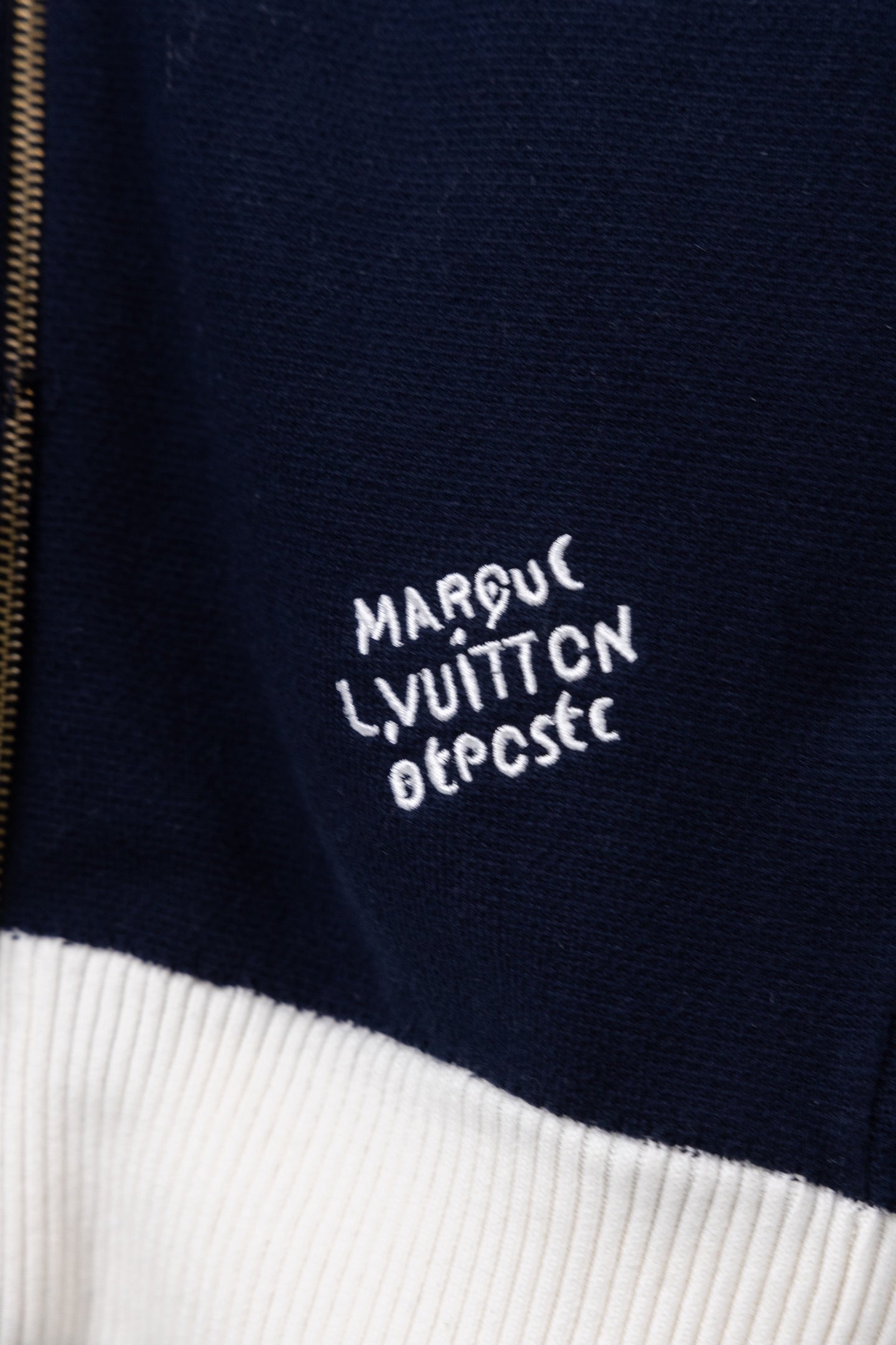 Chaqueta Louis Vuitton