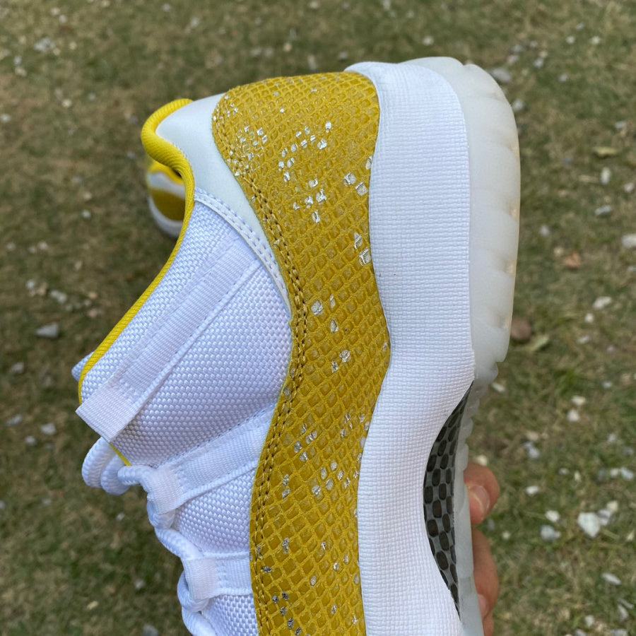 Air Jordan 11