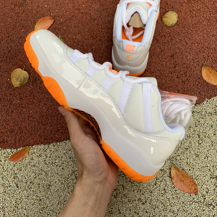 Air Jordan 11