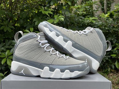 Air Jordan 9
