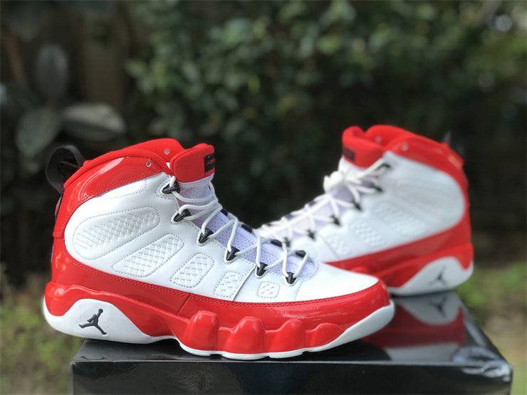 Air Jordan 9