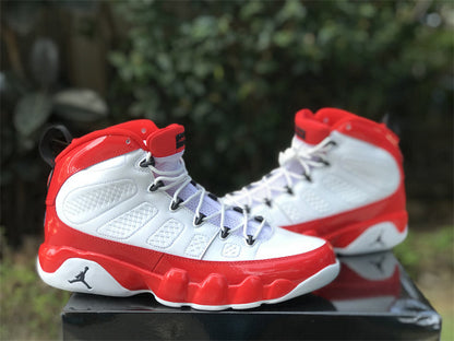 Air Jordan 9