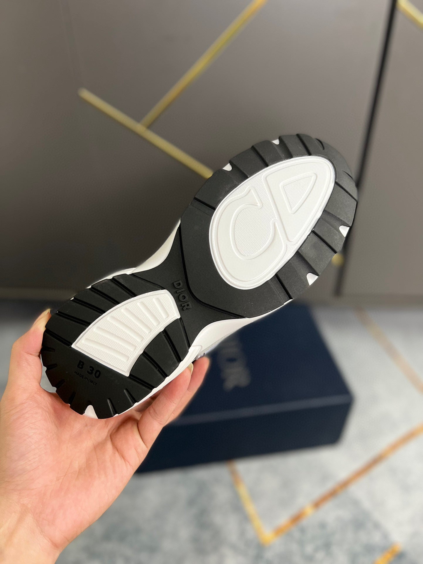 Dior B30