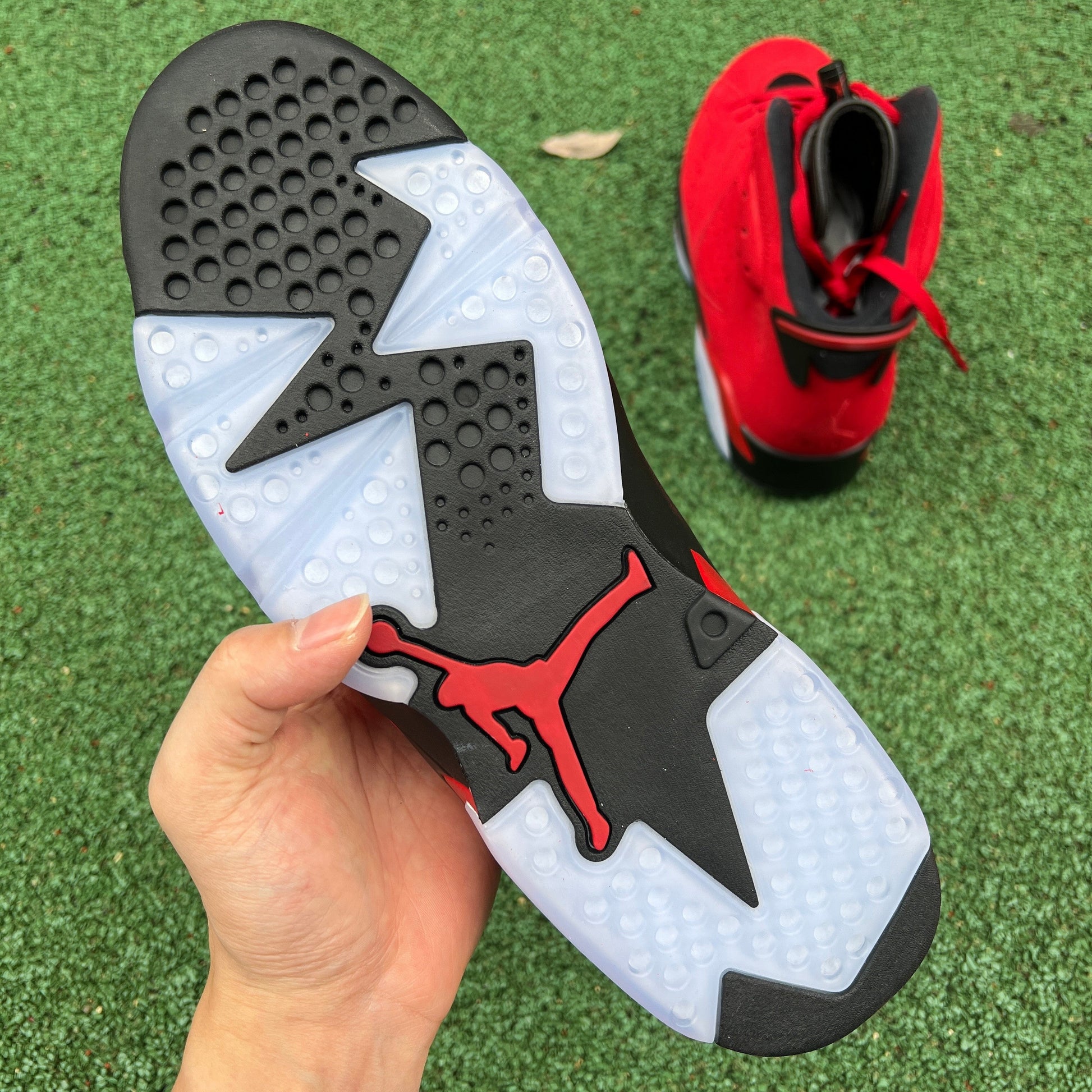 Air Jordan 6