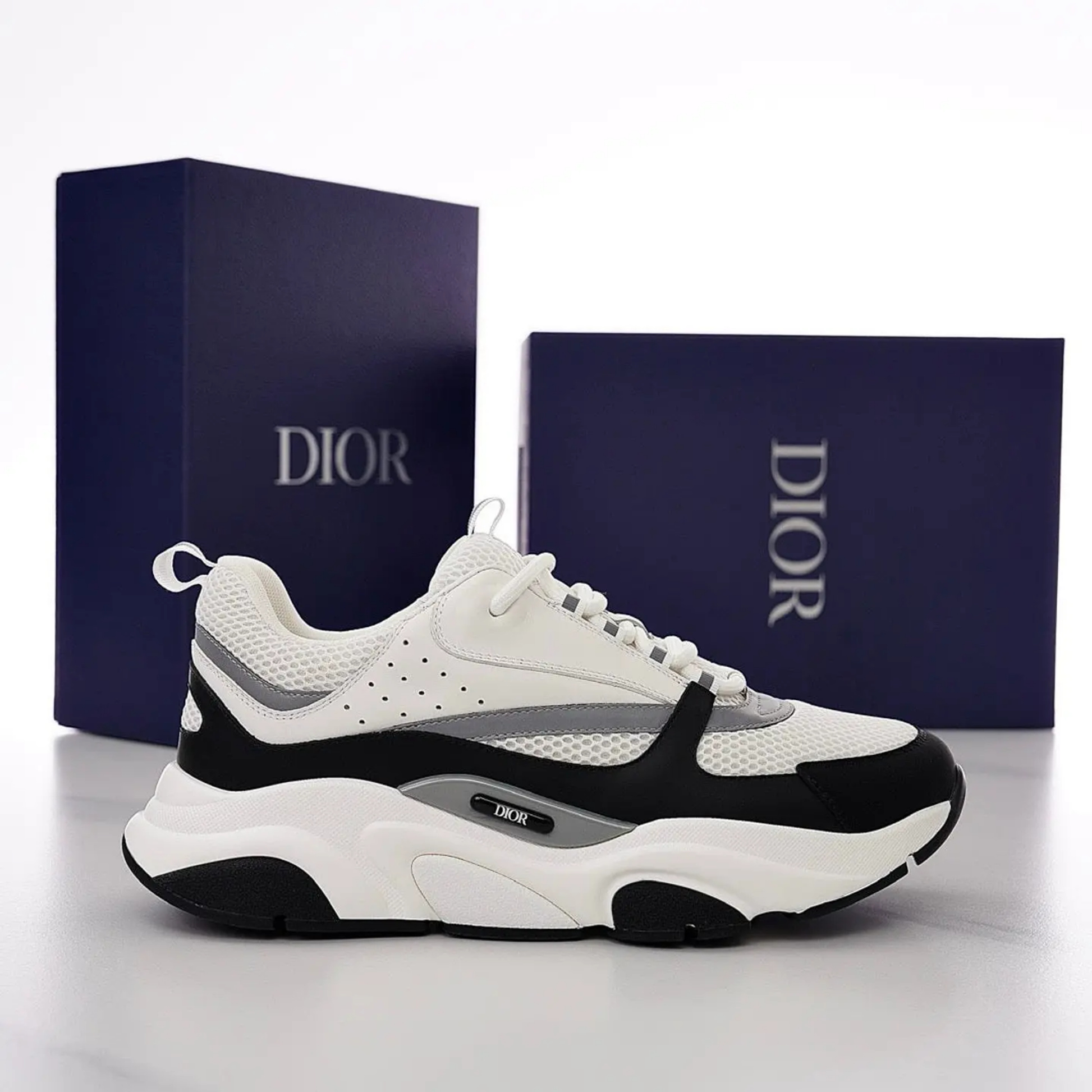 Dior B22