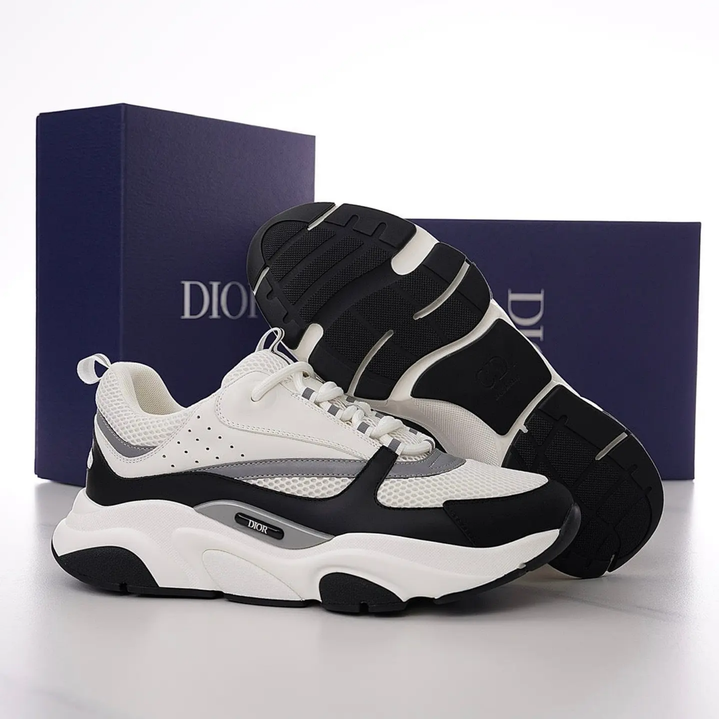 Dior B22