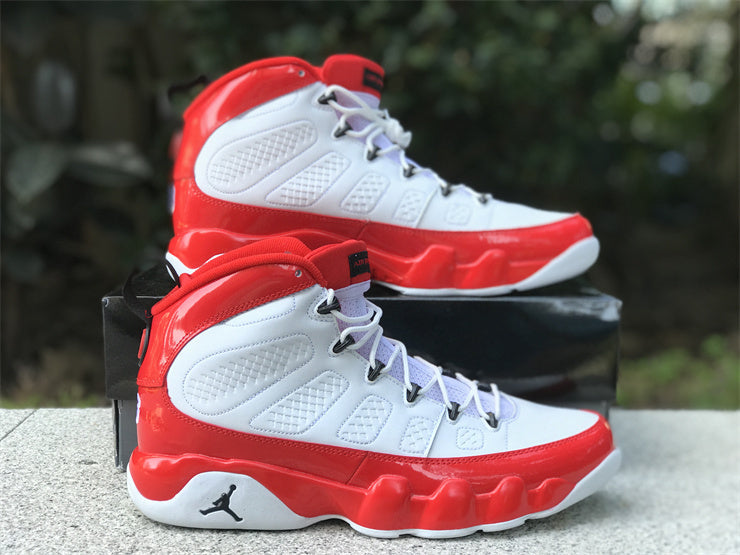 Air Jordan 9