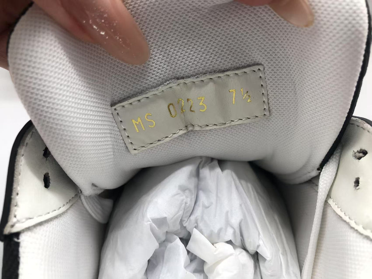 Louis Vuitton Trainer