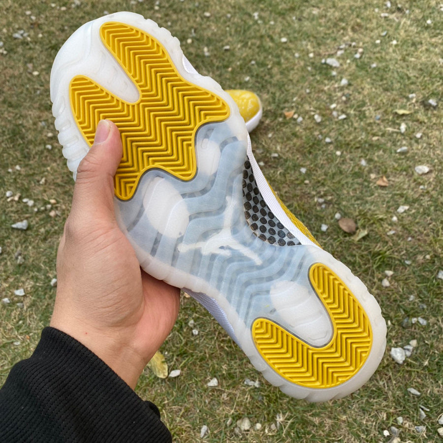 Air Jordan 11