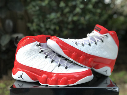 Air Jordan 9