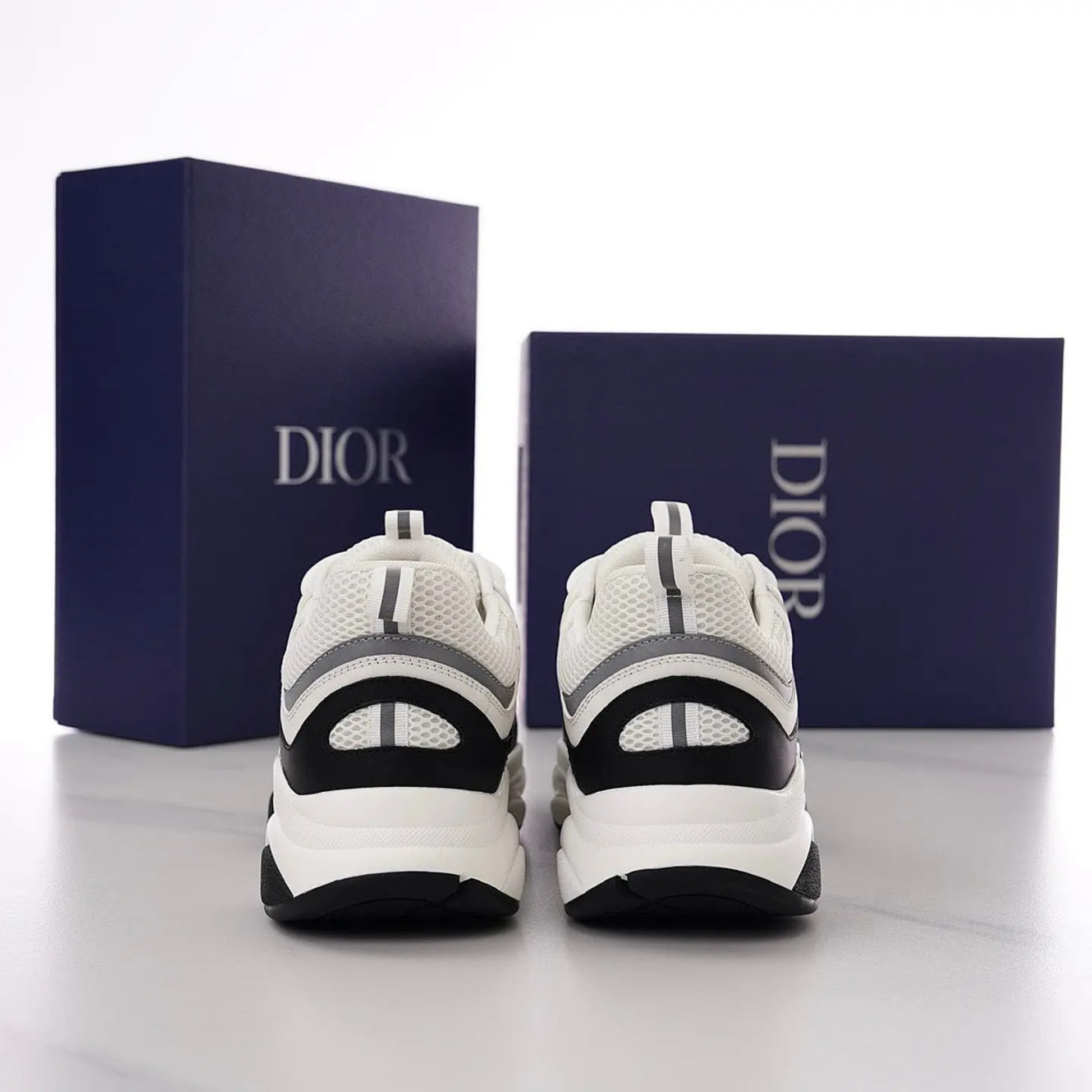 Dior B22