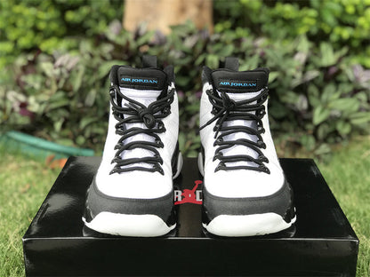 Air Jordan 9