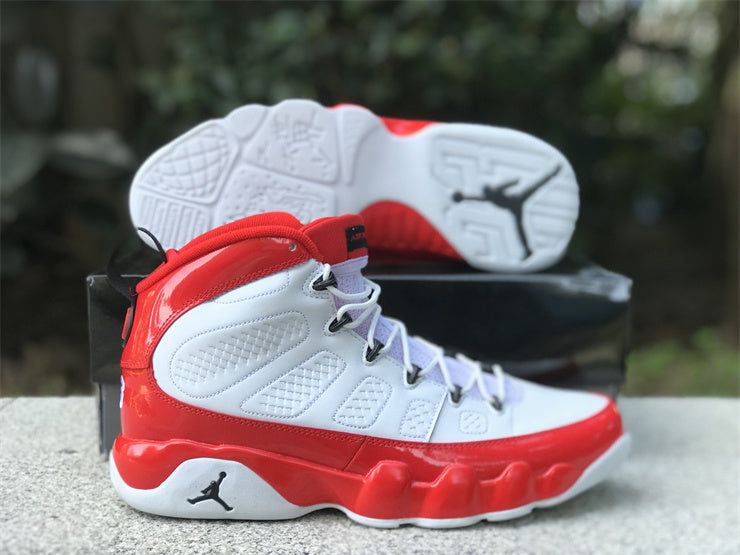 Air Jordan 9