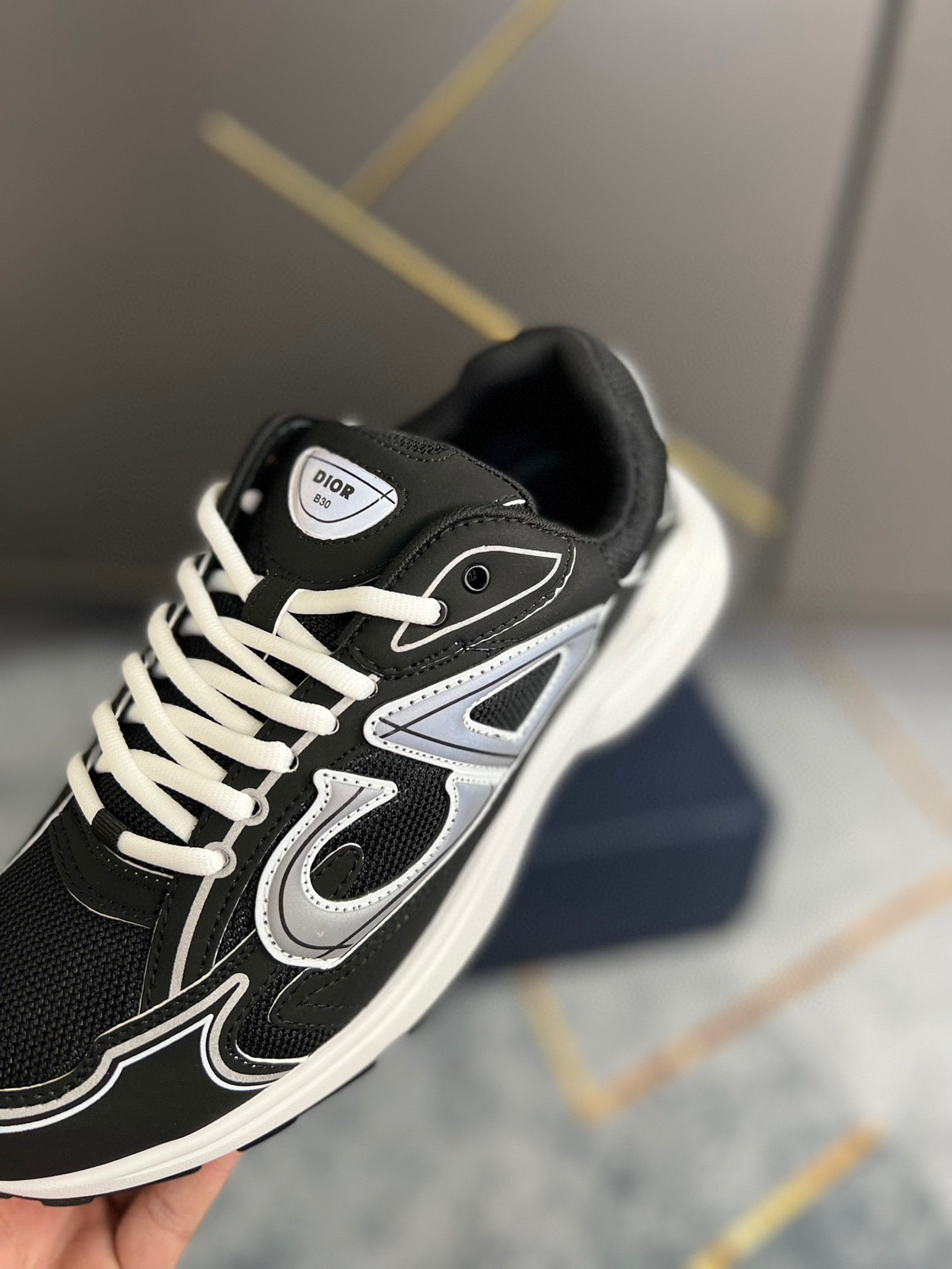 Dior B30