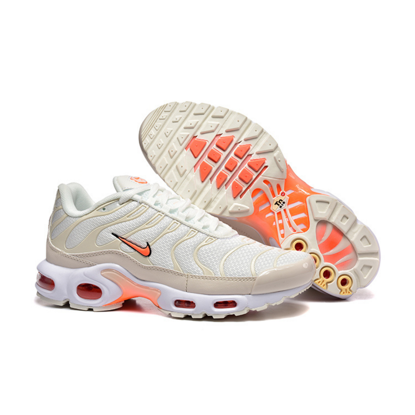 Nike Air Max Tn 1 Plus