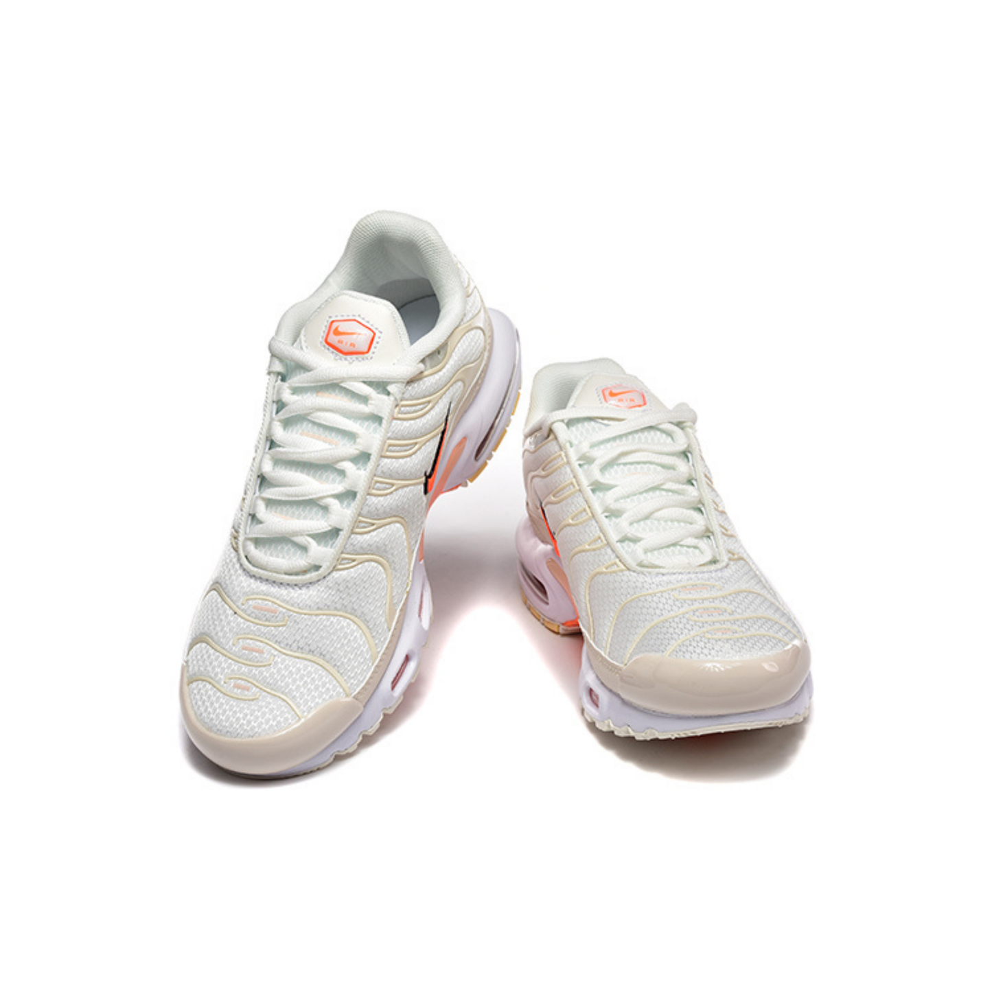 Nike Air Max Tn 1 Plus