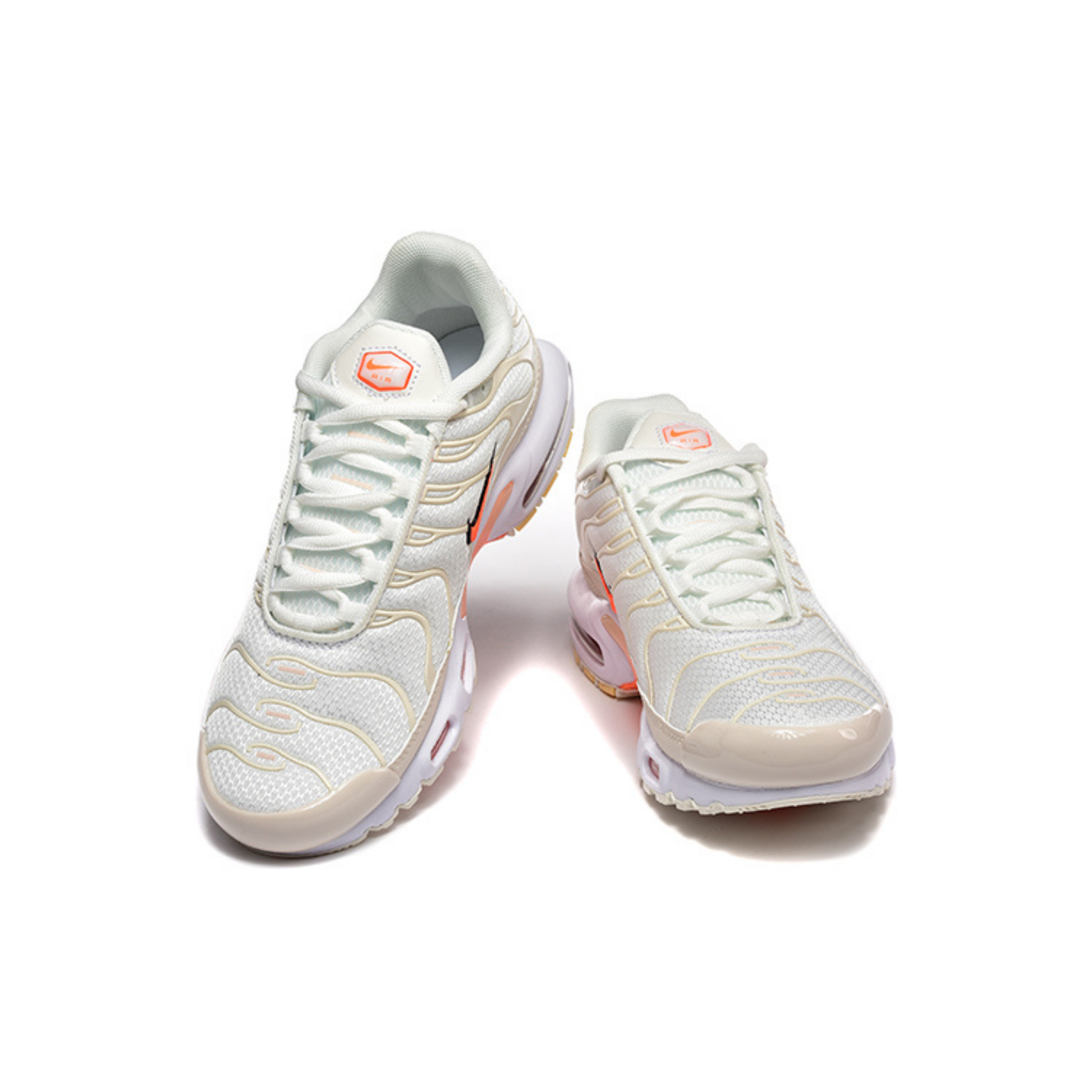 Nike Air Max Tn 1 Plus