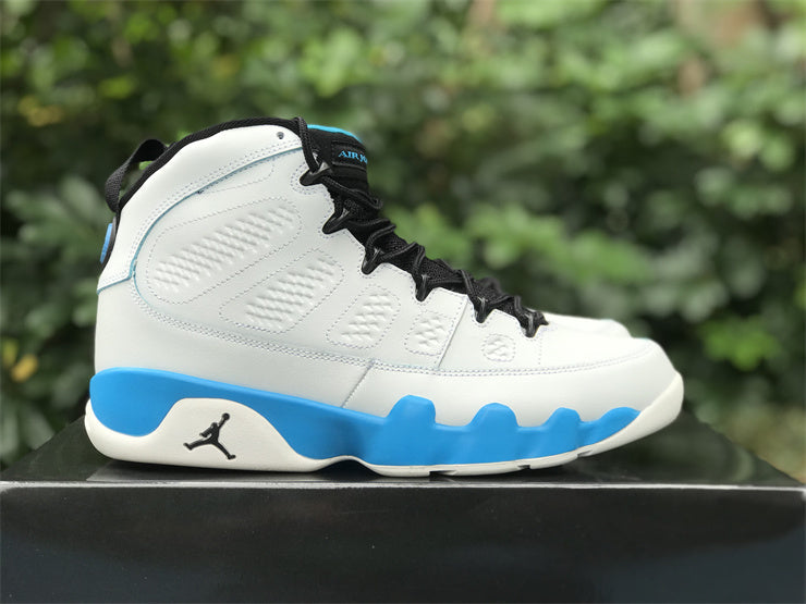 Air Jordan 9