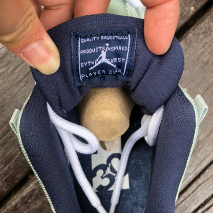 Air Jordan 11