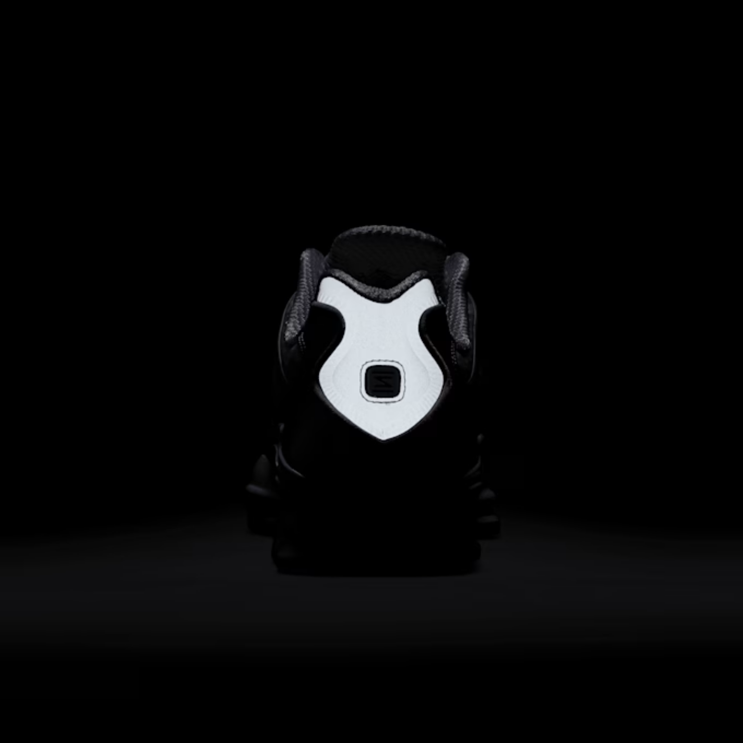Nike Shox TL [ 12 MOLAS ]