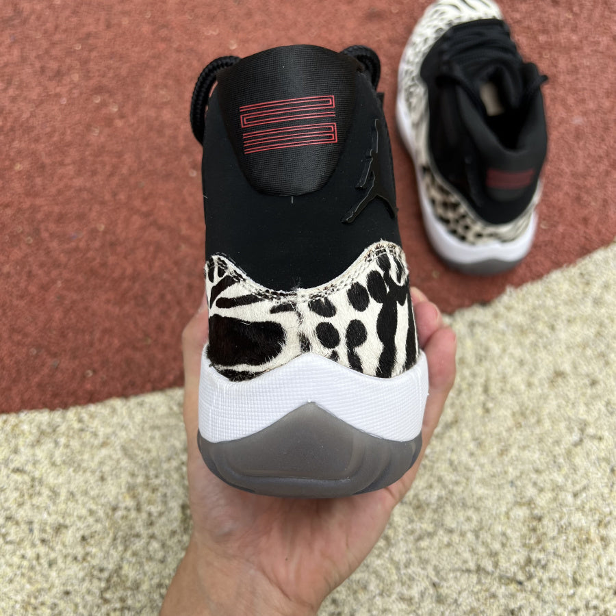 Air Jordan 11