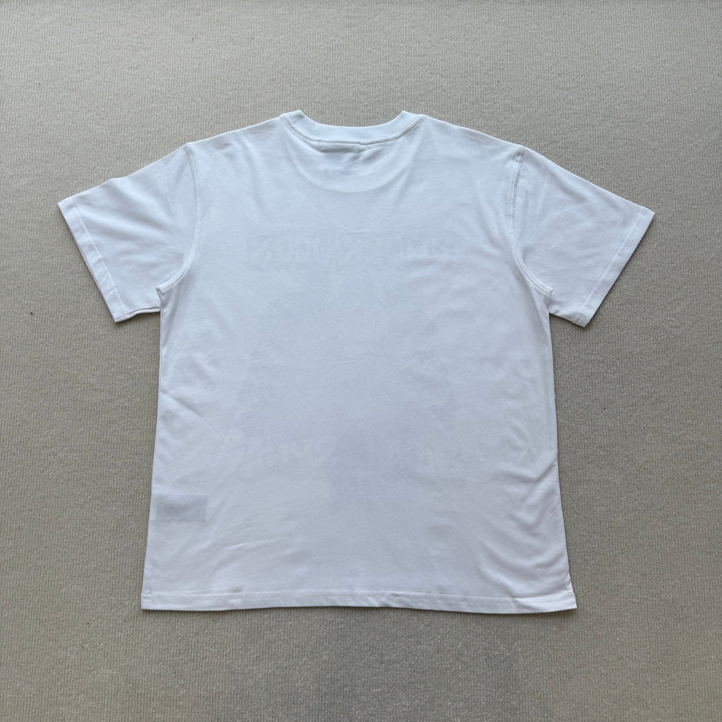 Camiseta Syna World