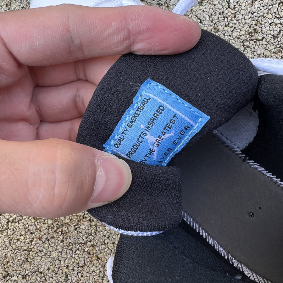 Air Jordan 11