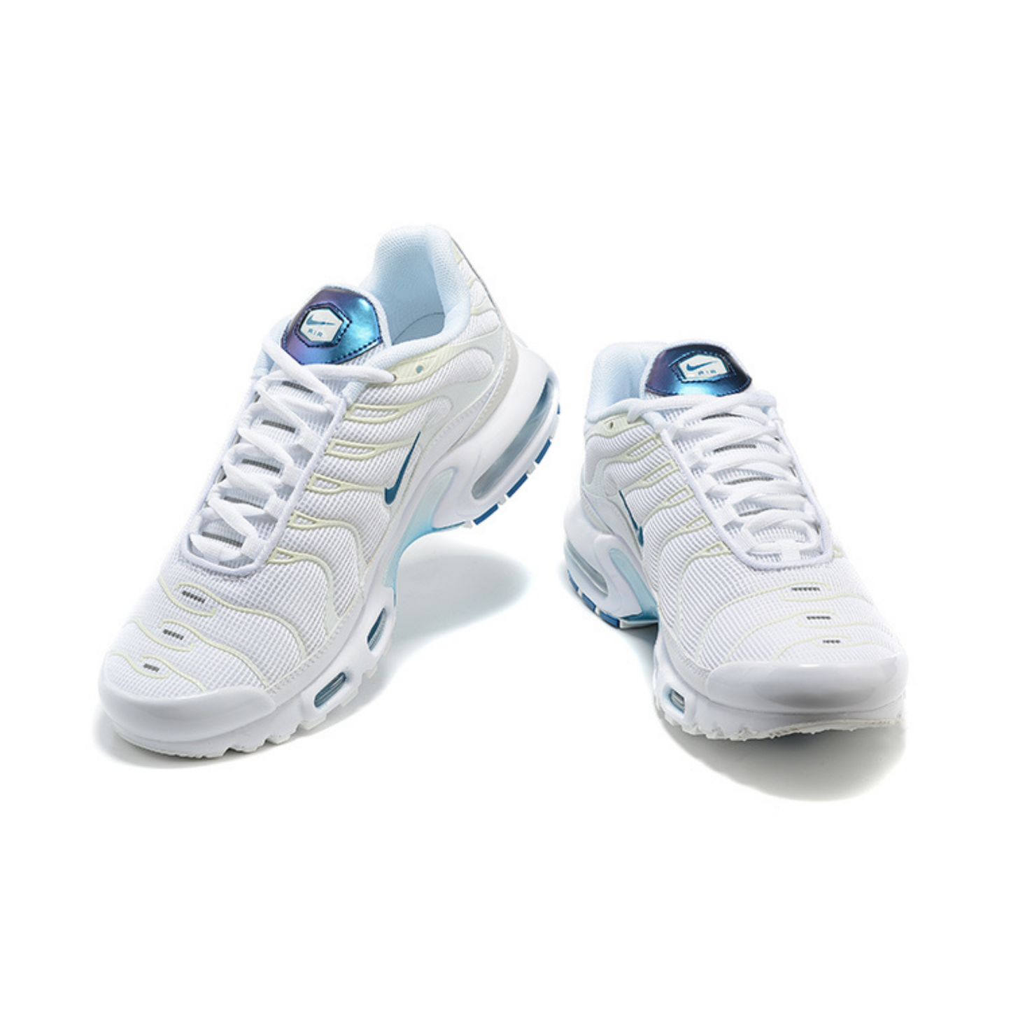 Nike Air Max Tn 1 Plus