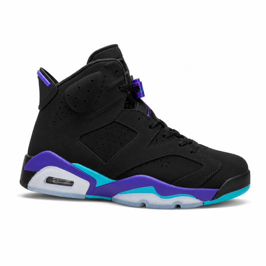 Air Jordan 6