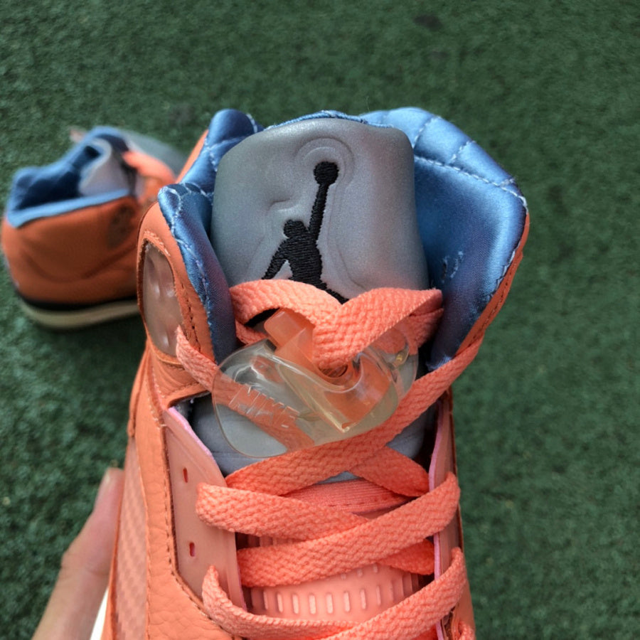 Air Jordan 5