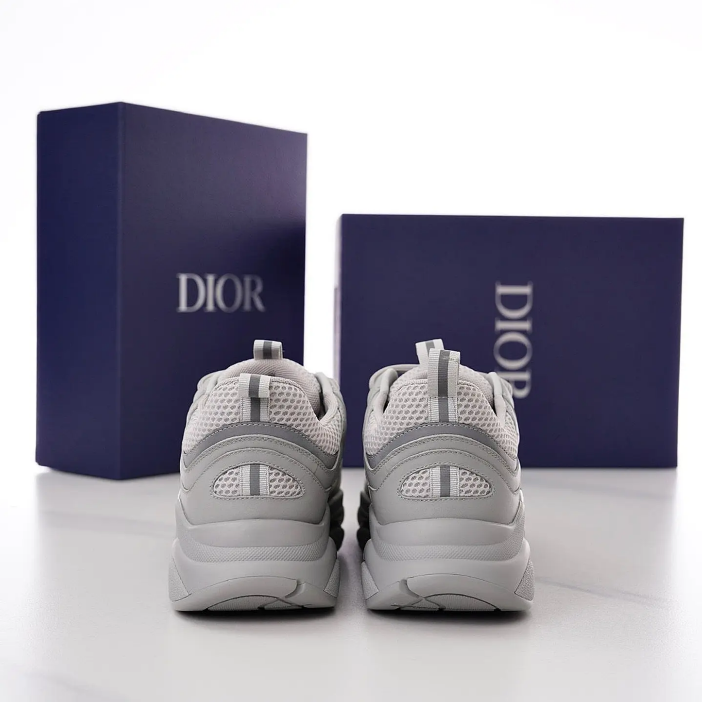 Dior B22