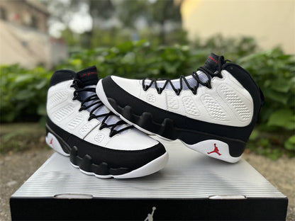 Air Jordan 9