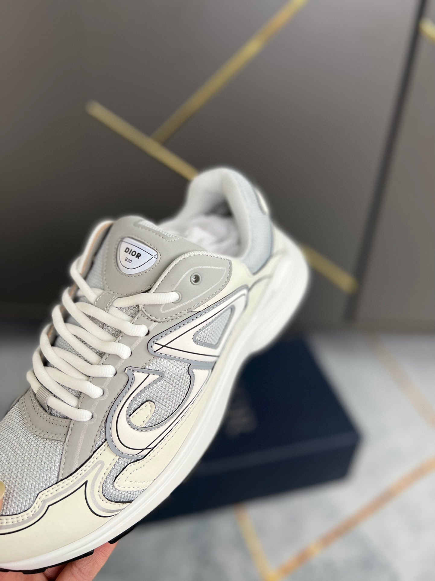 Dior B30